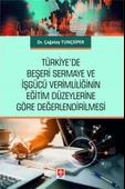 Türkiye'de Beşeri Sermaye ve İşgücü Verimliliğinin - 1