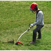 GC-PT 2538/1 I AS, Benzinli Kenar Kesme thumbnail 5