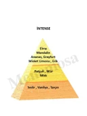 Intense + Intense Unisex Parfüm Oriental Edp  - Mnmsint2 thumbnail 2