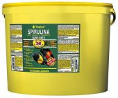 Tropical Super Spirulina Forte Pul 250 gr. Kovadan Bölme Tropheus Yemi - 1