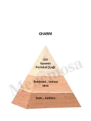 Charm + Charm Unisex Parfüm Edp Floral - Mnmschrm2 thumbnail 2