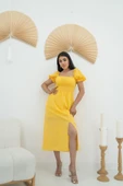 Sarı Tokalı Fisto Elbise thumbnail 1