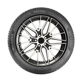 Lassa Revola 205/50 R17 93W XL Yaz Lastiği - 2025 - 3