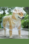 1 Adet-Pomeranian Şeffaf Köpek Yağmurluğu – PVC, Su Geçirmez, Tüm Irklar İçin Uygun thumbnail 5