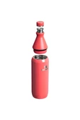 Stanley The All Day Slim Bottle 0.6L / 20oz Hot Coral Gloss thumbnail 2