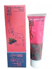 AllDay All Redberry Tavşan Hamster Multivitamin Paste 100gr - 1