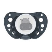 Chicco PhysioForma Air 2'li Silikon Emzik 16-36 Ay thumbnail 4