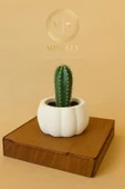 Minelly Pumpkin Touch Saksı - 4