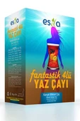 Fantastik 4 Lü Yaz Çayı 45 Li. - 1
