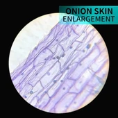 BOGRINUO Bileşik Binoküler Mikroskop 40X-2000X Büyütme thumbnail 9