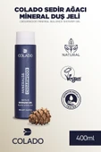 COLADO Sedir Ağacı Mineral Duş Jeli – Arındırıcı Bakım | Cedarwood Mineral Balance Shower Gel (400 ml) - 1