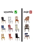Hilal Home Bej Ipek Kadife Damar Desen 6'lı Likralı Sandalye Kılıfı - 4