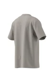 adidas Erkek  Bej  T-shirt GRAPHIC LO SS T JX8157 - 11