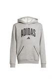 adidas Çocuk  Gri  Sweatshirt J CLGT OH FL HD JV7336 thumbnail 1
