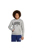 adidas Çocuk  Gri  Sweatshirt J CLGT OH FL HD JV7336 thumbnail 2