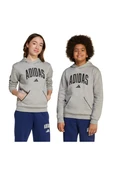 adidas Çocuk  Gri  Sweatshirt J CLGT OH FL HD JV7336 thumbnail 8