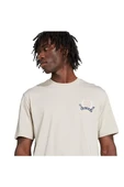 adidas Erkek  Bej  T-shirt GRAPHIC LO SS T JX8157 - 5
