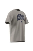 adidas Erkek  Bej  T-shirt M COLLEGIATE T JM6415 thumbnail 8
