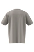 adidas Erkek  Bej  T-shirt GRAPHIC LO SS T JX8157 - 12