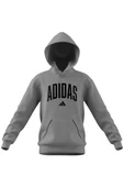 adidas Çocuk  Gri  Sweatshirt J CLGT OH FL HD JV7336 thumbnail 9