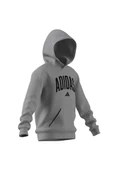 adidas Çocuk  Gri  Sweatshirt J CLGT OH FL HD JV7336 thumbnail 11