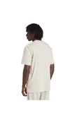 adidas Erkek  Bej  T-shirt GRAPHIC LO SS T JX8157 - 3