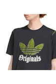 adidas Erkek Siyah T-shirt GRFX TEE JY2761 - 5