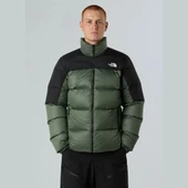 The North Face DIABLO DOWN 2.0 K.TÜYÜ Erkek Ceket NF0A8993EIH1 thumbnail 2