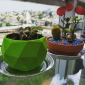 Saksı Süslü Çiçek Bitki Dekor Teras Bahçe Balkon Saksısı  Obje - 7