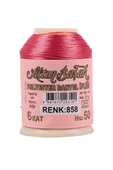 Altınbaşak Oya ve Dantel İpi 20 gr - Royaleks - No: 858 - 1