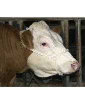 Pratik Boğa Yuları Halat thumbnail 1