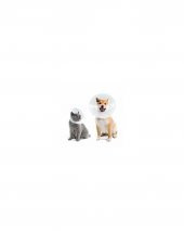 Kedi ve Köpek için Ekonomik Yakalık 75 mm - 2