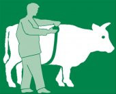 Danametre (Kilo ölçer) ithal - 4