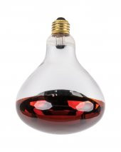 Isıtıcı Ampul 250 Watt - 1