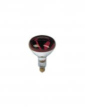 Isıtıcı Ampul 250 Watt - 6