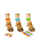 Büyükbaş Ayak Bandı Alman Malı thumbnail 6