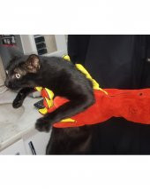 Kedi Yakalama Eldiveni 40 cm - 1