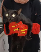 Kedi Yakalama Eldiveni 40 cm - 2