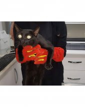 Kedi Yakalama Eldiveni 40 cm - 6