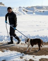 Köpek Yakalama Aleti 150 cm - 1