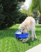 Otomatik Köpek Suluğu 4 Litre - 1