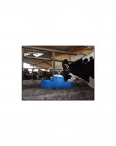 İnek Suluğu İkili - 2