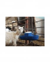 Keçi Suluğu İkili thumbnail 3