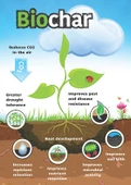 PreChar Meşe Odunu Bazlı Karbon Toprak Düzenleyici 1L Biochar - 4