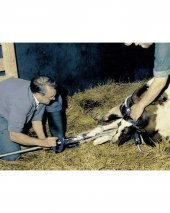 Doğum Krikosu HK 2060 Plastik Gövdeli - 3