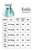 ESİLA KİDS Kız Çocuk Elbise, Elsa Elbise, Elbise Kız Çocuk Parti Ve Doğum Günü Şık Elbisesi 2-8 Yaş - 2