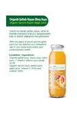 Benorganic BEN ORGANİC KAYISI & ŞEFTALİ & ELMA SUYU 250 ML - 2'Lİ - 3
