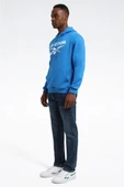 Reebok RI FT BIG LOGO OTH HOOD 101965471 Erkek Sweatshirt Mavi S-XXL - 3
