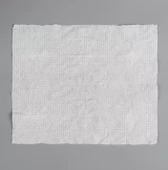 Suda Büyüyen Sıkıştırılmış Mendil 20 Adet - 2