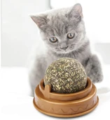 Kedi Nanesi Oyun Topu - 3